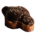 Colomba artigianale cioccolato fondente